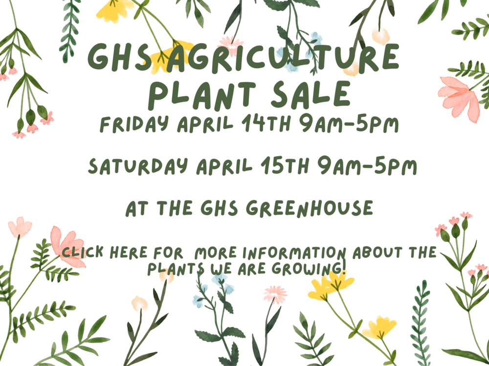 GHS Agriculture Plant Sale Friday April 14th 9AM-5PM Saturday April 15th 9AM-5PM AT the GHS Greenhouse Click here for more information about the plants we are growing