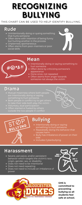 Recognizing Bullying